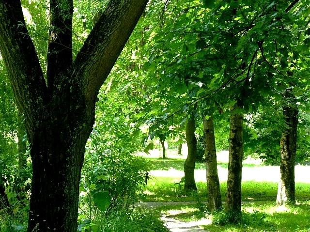 Le long de la Moselle 5 Marc de Metz 2012