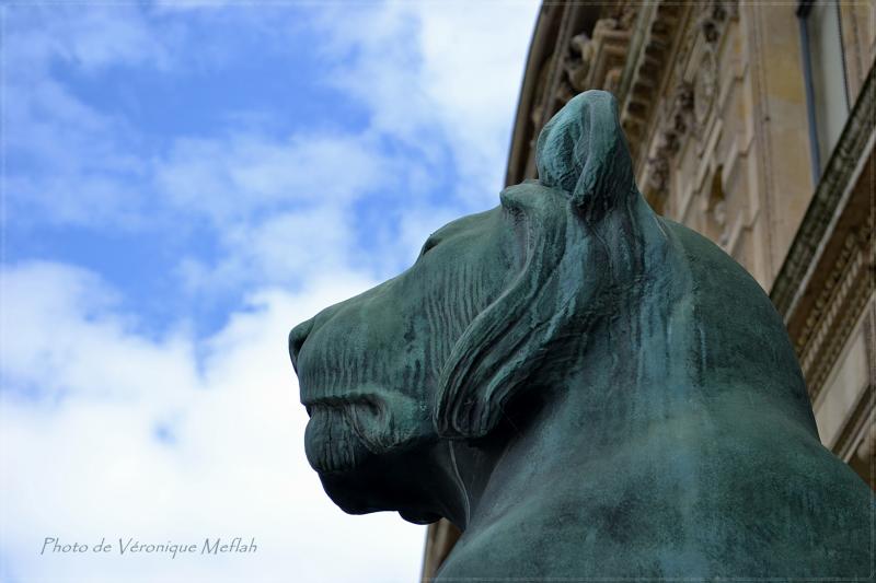 Musée du Louvre : La Porte des Lions : Lionnes du Sahara