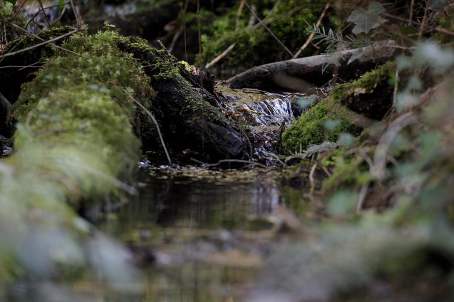 biotope