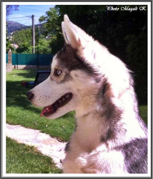 Damon (4,5 mois)