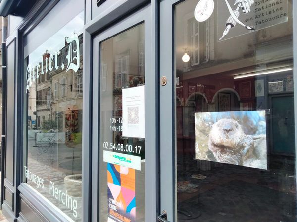 Mort de Matisse : des photos de loutres affichées à Châteauroux en hommage  à l'adolescent tué - France Bleu