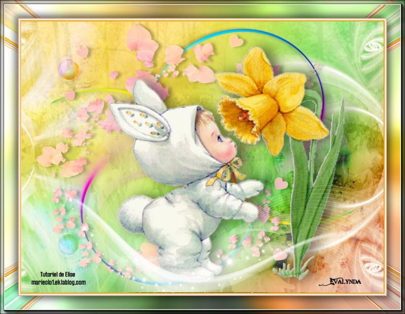 Un tapis de jonquilles