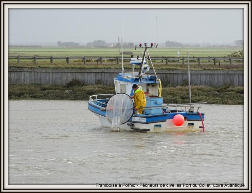 Pêcheurs de civelles au Port du collet - 44 - 2018
