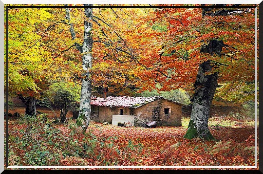 "L'Automne" poème d'Anna de Noailles