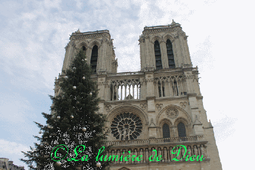 La cathédrale Notre-Dame de Paris