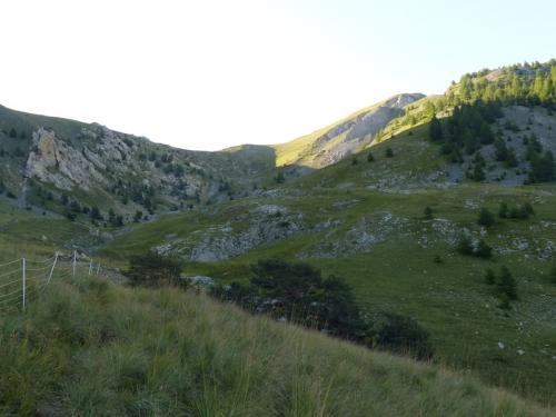 Tête de Louis XVI (Méolans-Revel - Ubaye)