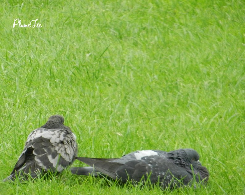 Image015.jpg