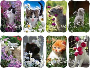 Cartonnettes Printemps chats !