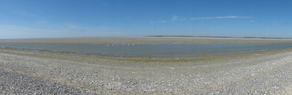 La Baie de Somme à marée basse