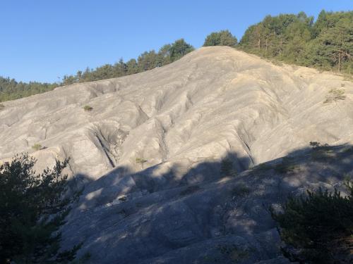 Bois Le Prêtre (Montclar)