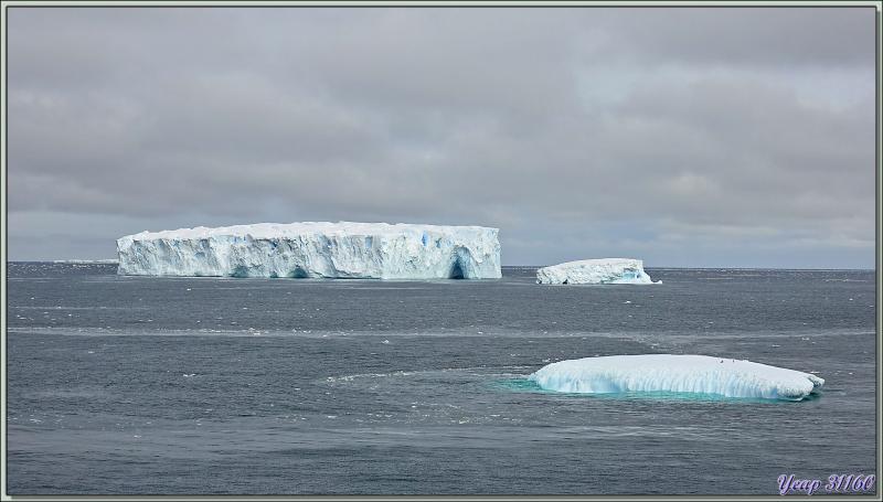 02/03/2022 : la fin de matinée et l'après-midi vont se passer à scruter l'horizon et à attendre le passage de beaux icebergs - Mer de Ross - Antarctique