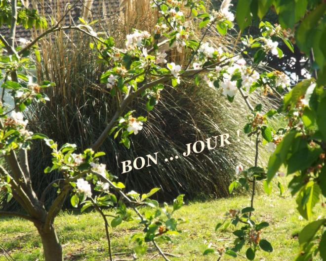 "Tendance blanche" ... au jardin ...