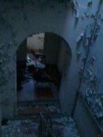 les annÃ©es folles