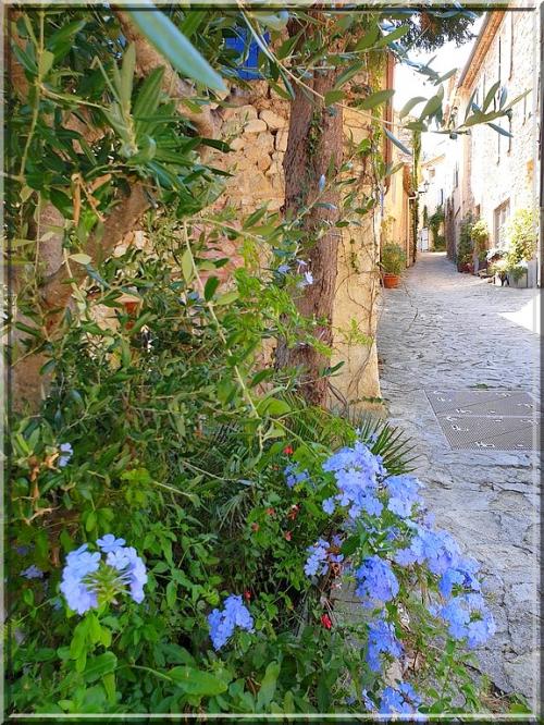 1011 - Le Barroux dans le Vaucluse (84)
