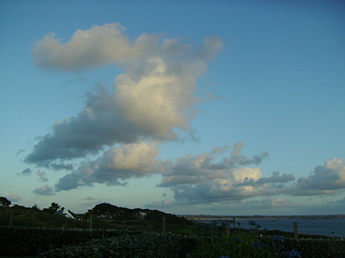 IMGP0237-copie-1.JPG