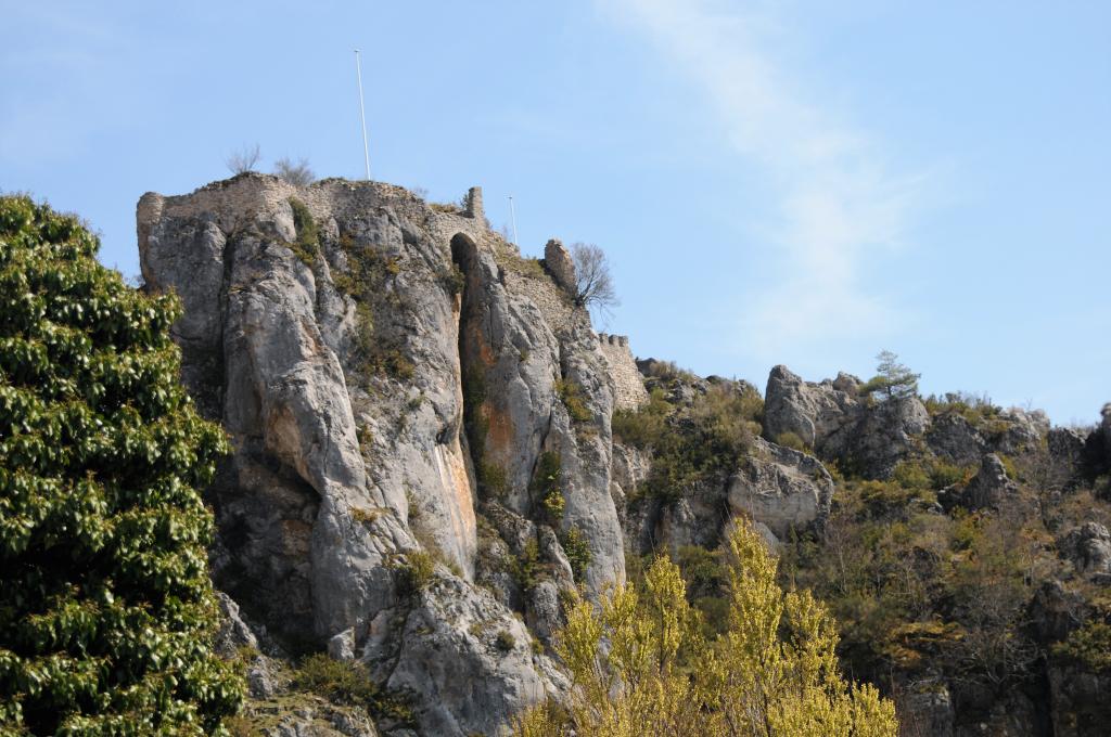 Sur la route des vautours...suite !