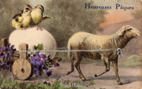 Image45.jpg