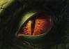 Regard_008.jpg