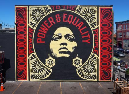 Carte Hda Shepard Fairey