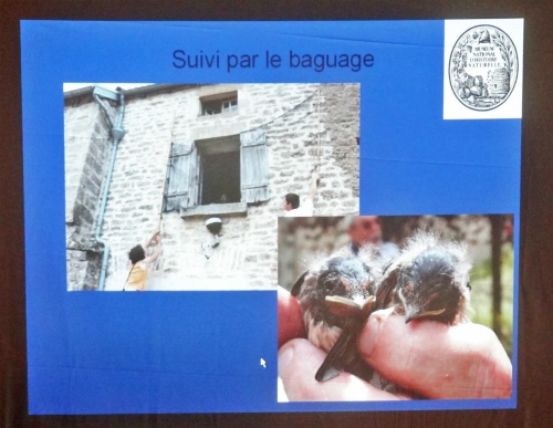 Une conférence de la LPO à Marcenay...