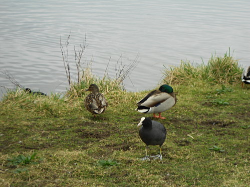 DSCN0089.JPG