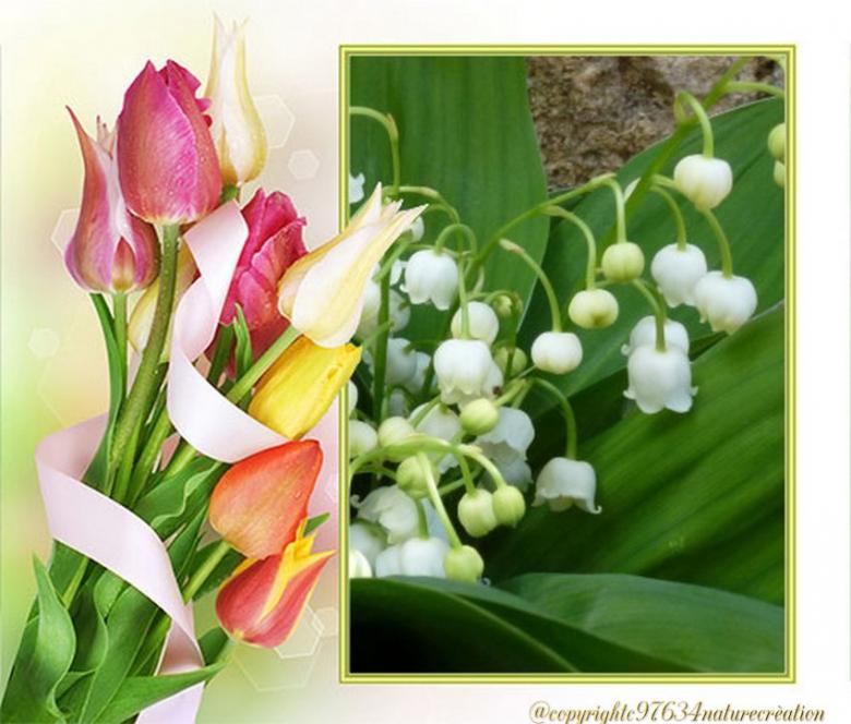 des fonds (fête du Muguet )pour vos créations