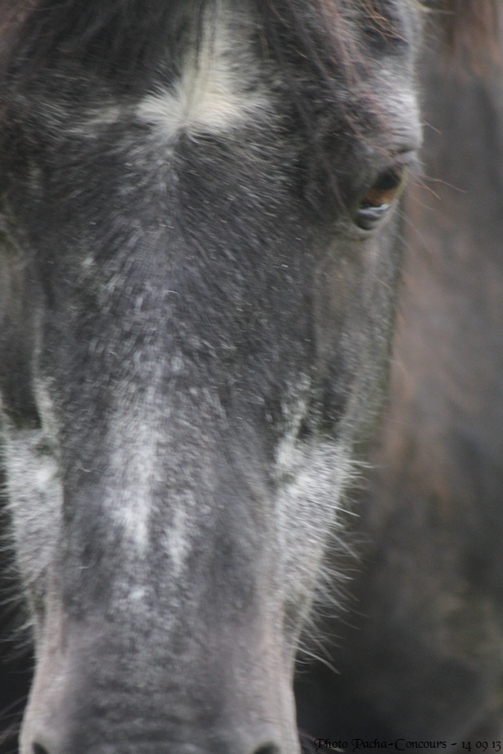 doudou & black 14/09/13