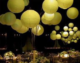 Thème couleur : Vert