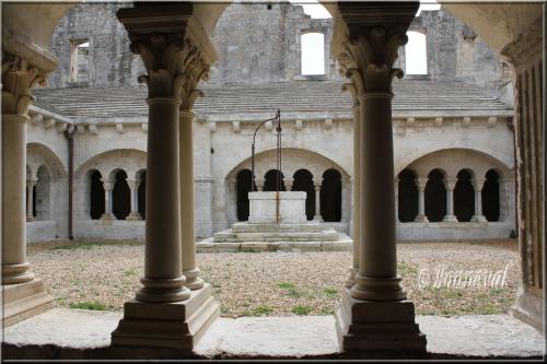 Abbaye de Montmajour cloître la galerie sud et le puits