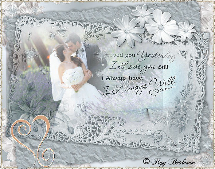 Vos versions - Love you still, always will