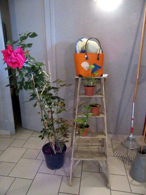 "La 20ème foire aux graines, Jardin et Nature" a eu  lieu le 20 mai 2018 à Recey sur Ource