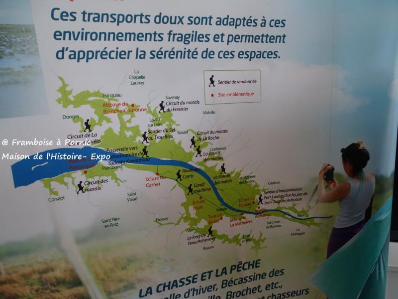 Exposition Marais estuariens - Maison de l'Histoire