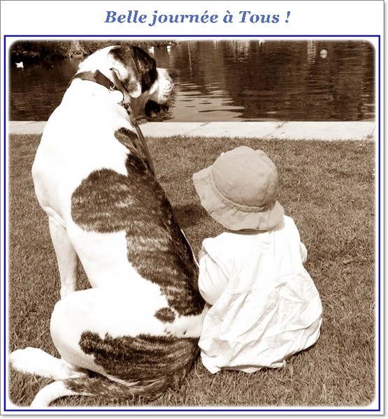 "Les chiens du dictionnaire"