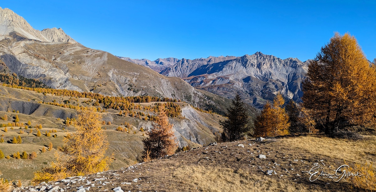 Dernier jour d'automne