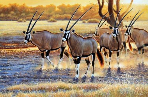 Peintures de : Cynthie Fisher