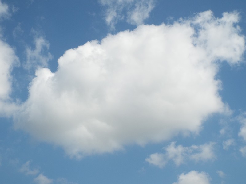 "Le regard dans les nuages" ...
