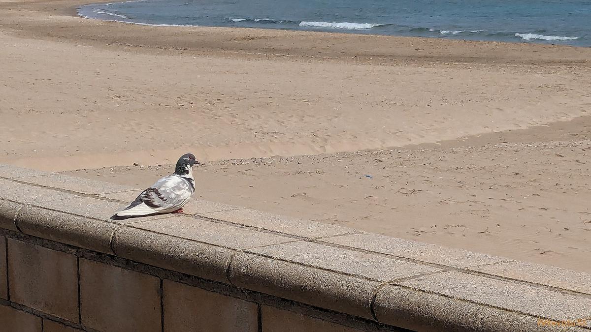 une pause à Villanova - Espagne
