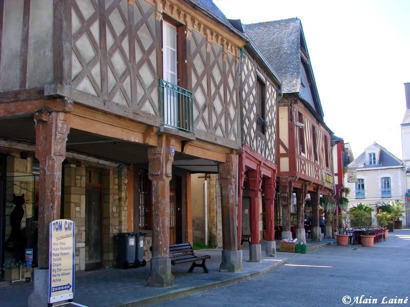La_Guerche_de_Bretagne_2