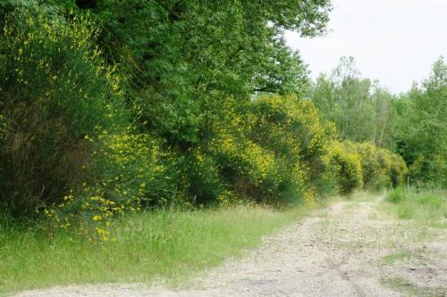 Randonnée "Au fil de l'eau" à NERS