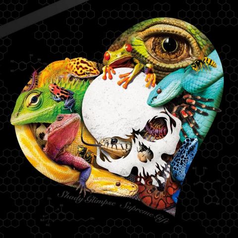 SHADY GLIMPSE signe avec Wormholedeath et annonce la réédition de l'album Supreme Gift