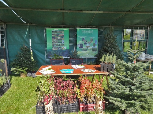 La fête de l'Automne 2011 à Leuglay...