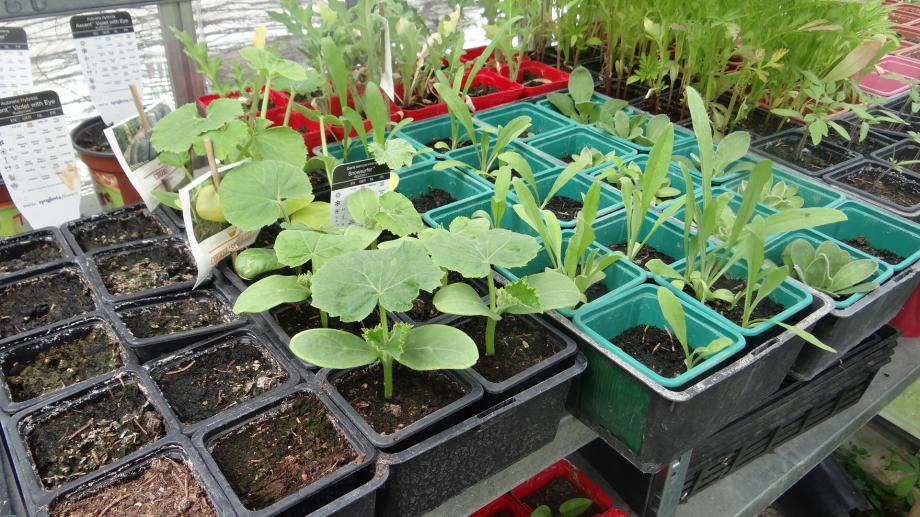 Après le Froid, la Pluie...