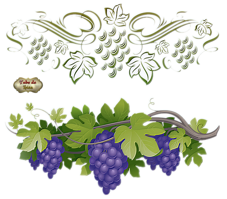 Les vendanges série 8