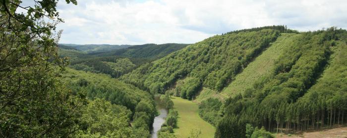 Le Luxembourg dans l'Europe