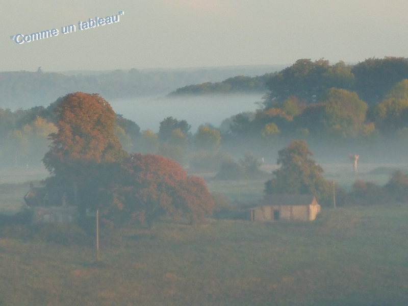 Brouillard 