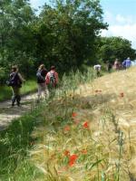 La randonnée du 17 juin à Thury-Harcourt