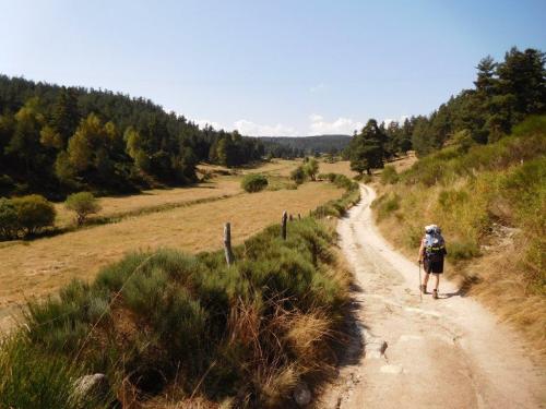 St Alban sur Limagne / Aumont Aubrac  14km