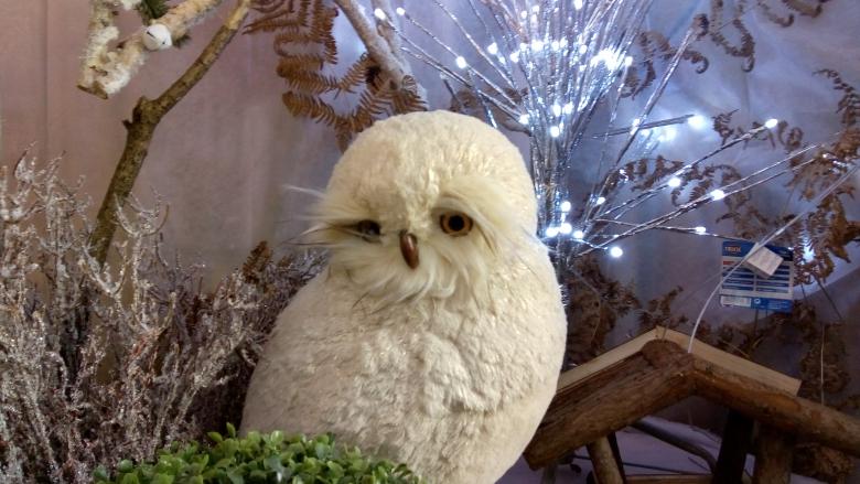 les magasins mettent leurs habits de Noël