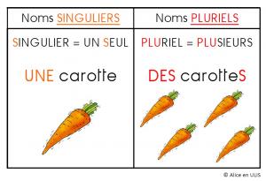 La grammaire s'affiche ...