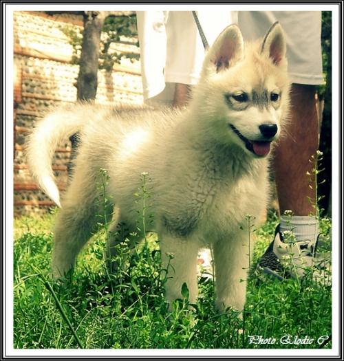 Eden (3 mois)